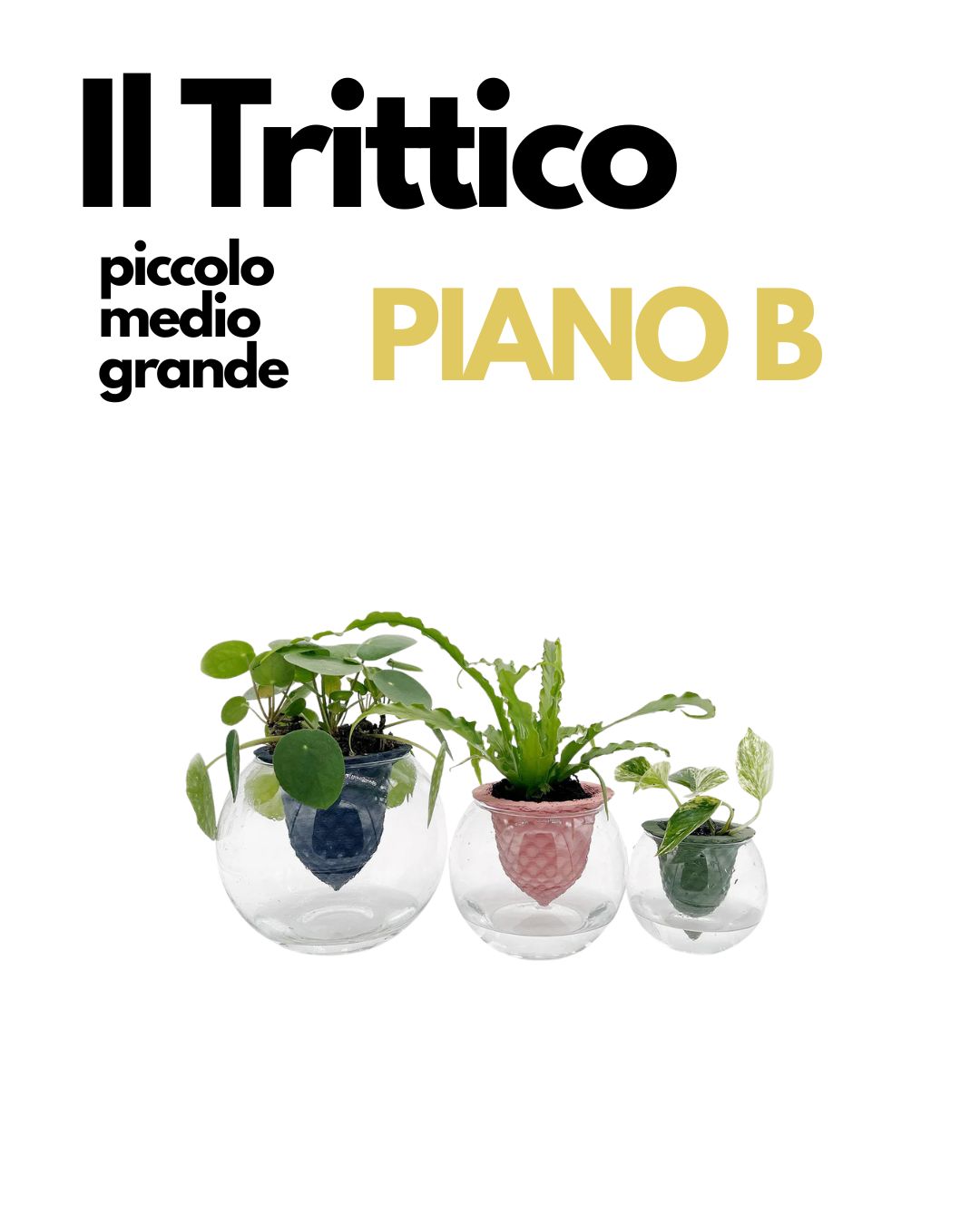 TRITTICO PIANO B