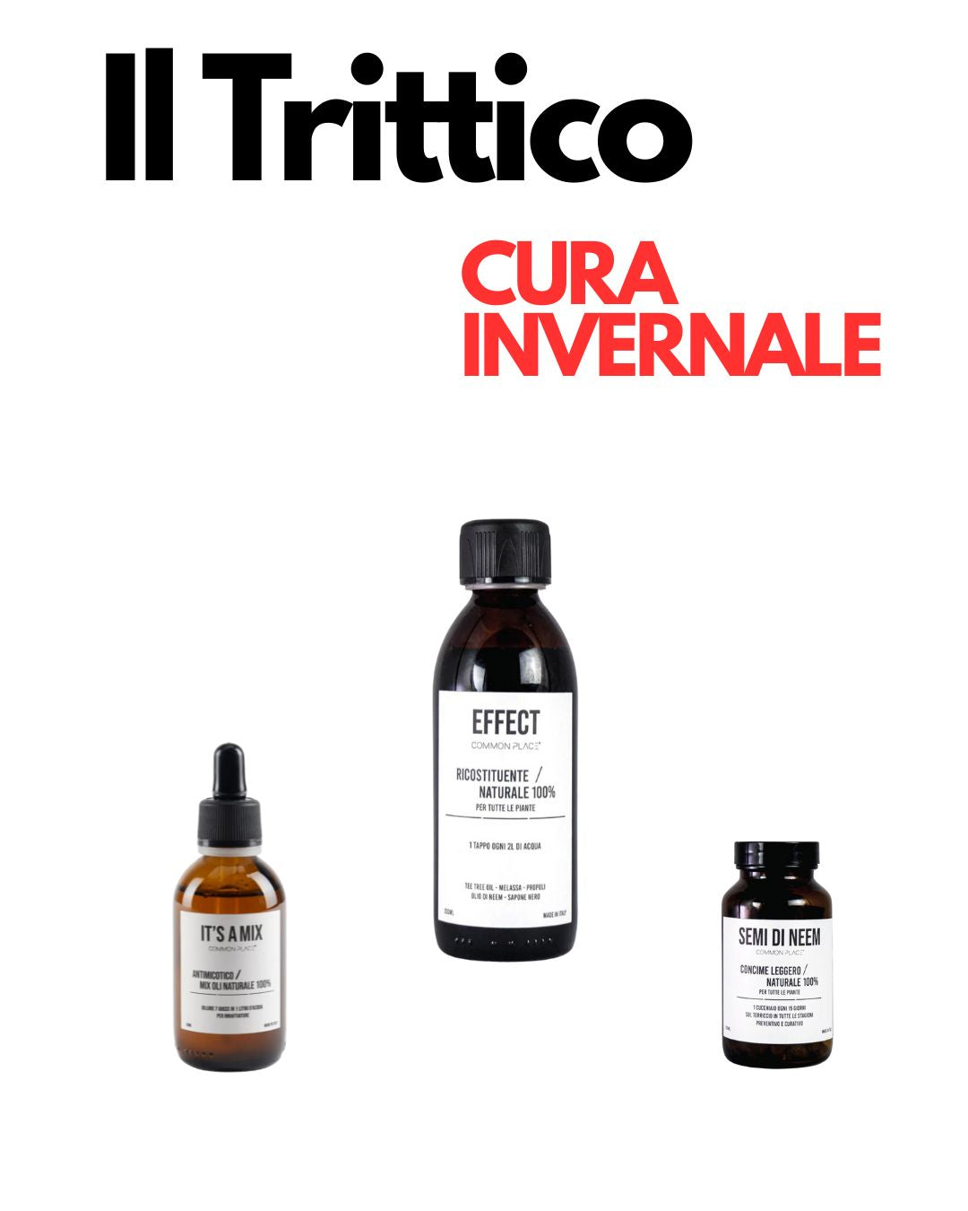 TRITTICO CURA INVERNALE