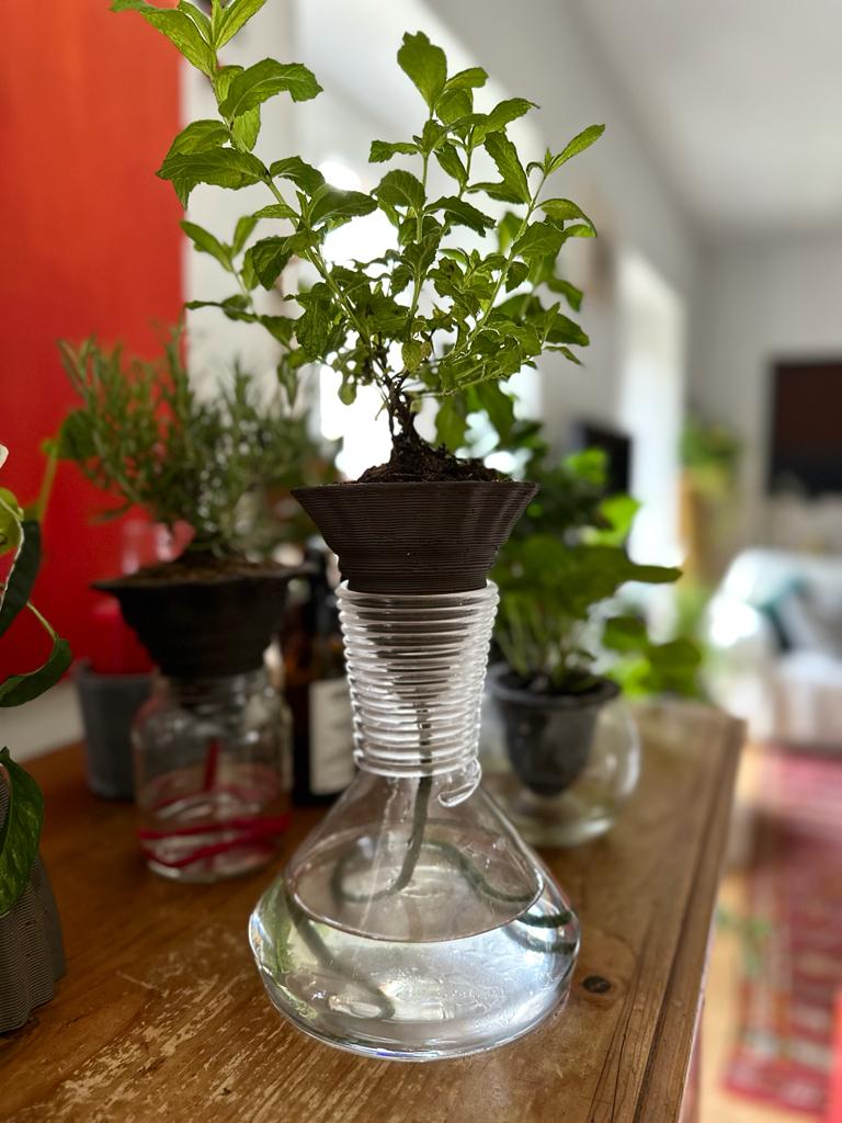 Vaso Nomade