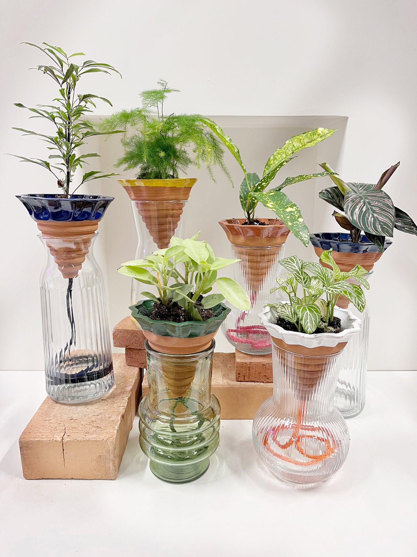 Nomade GLAZED – the self-watering TERRACOTTA pot