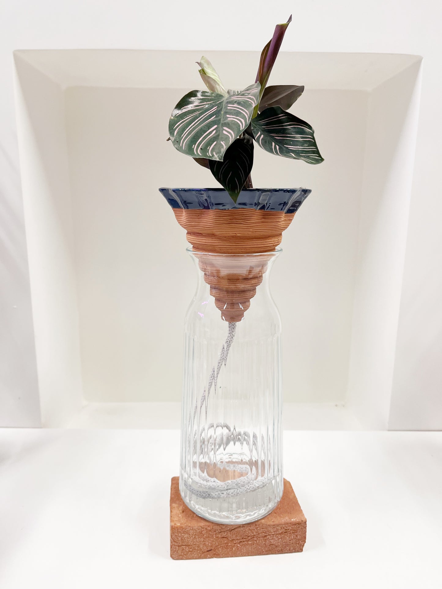 Nomade GLAZED – the self-watering TERRACOTTA pot