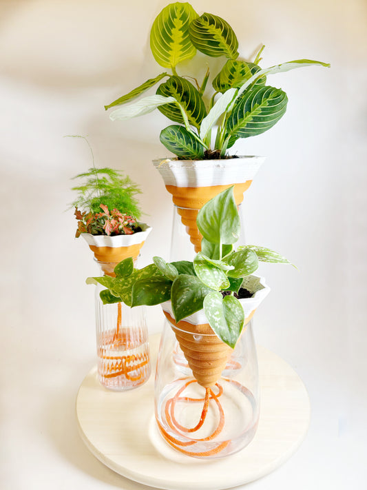 Nomade GLAZED – the self-watering TERRACOTTA pot