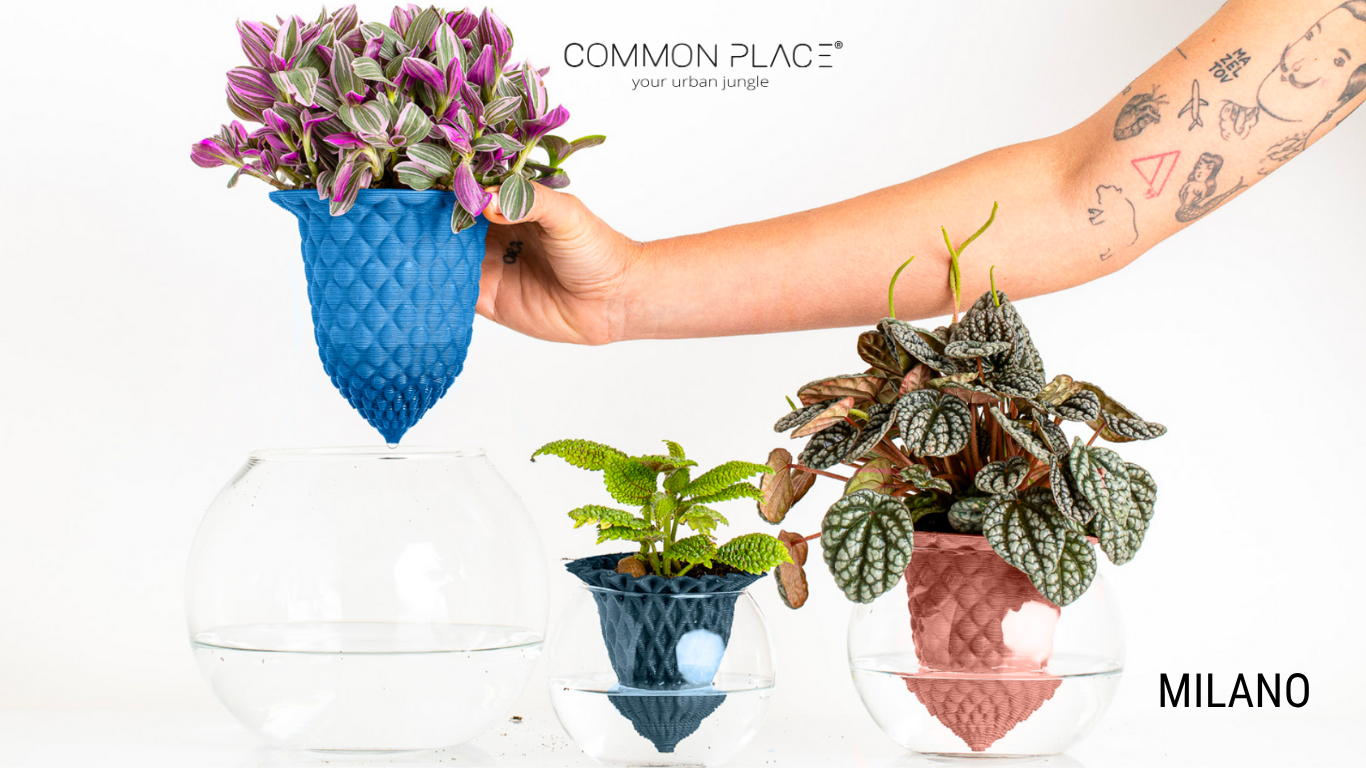 Gift Card Common Place
