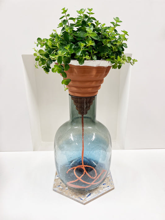 Nomade GLAZED – the self-watering TERRACOTTA pot