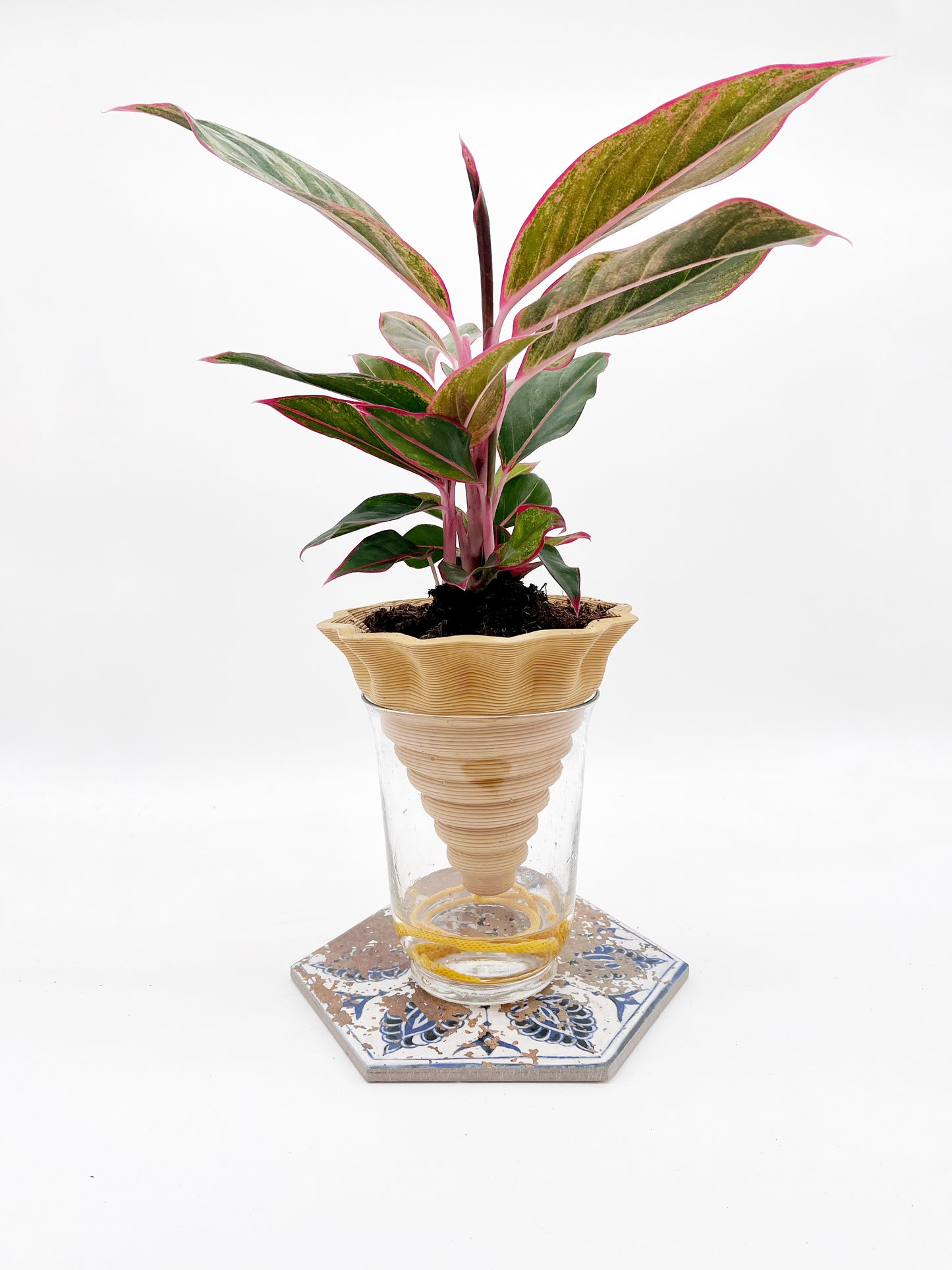 Nomade – the self-watering pot in COLORED STONEWARE