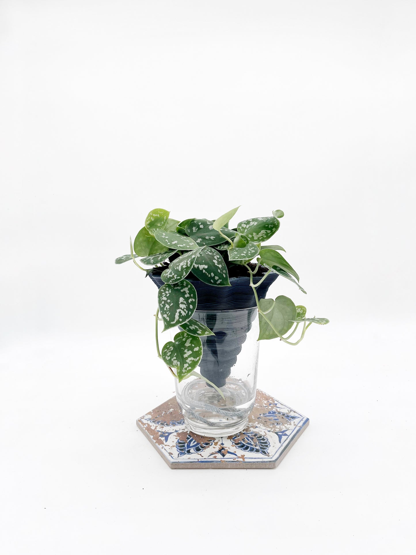 Nomade – the self-watering pot in COLORED STONEWARE