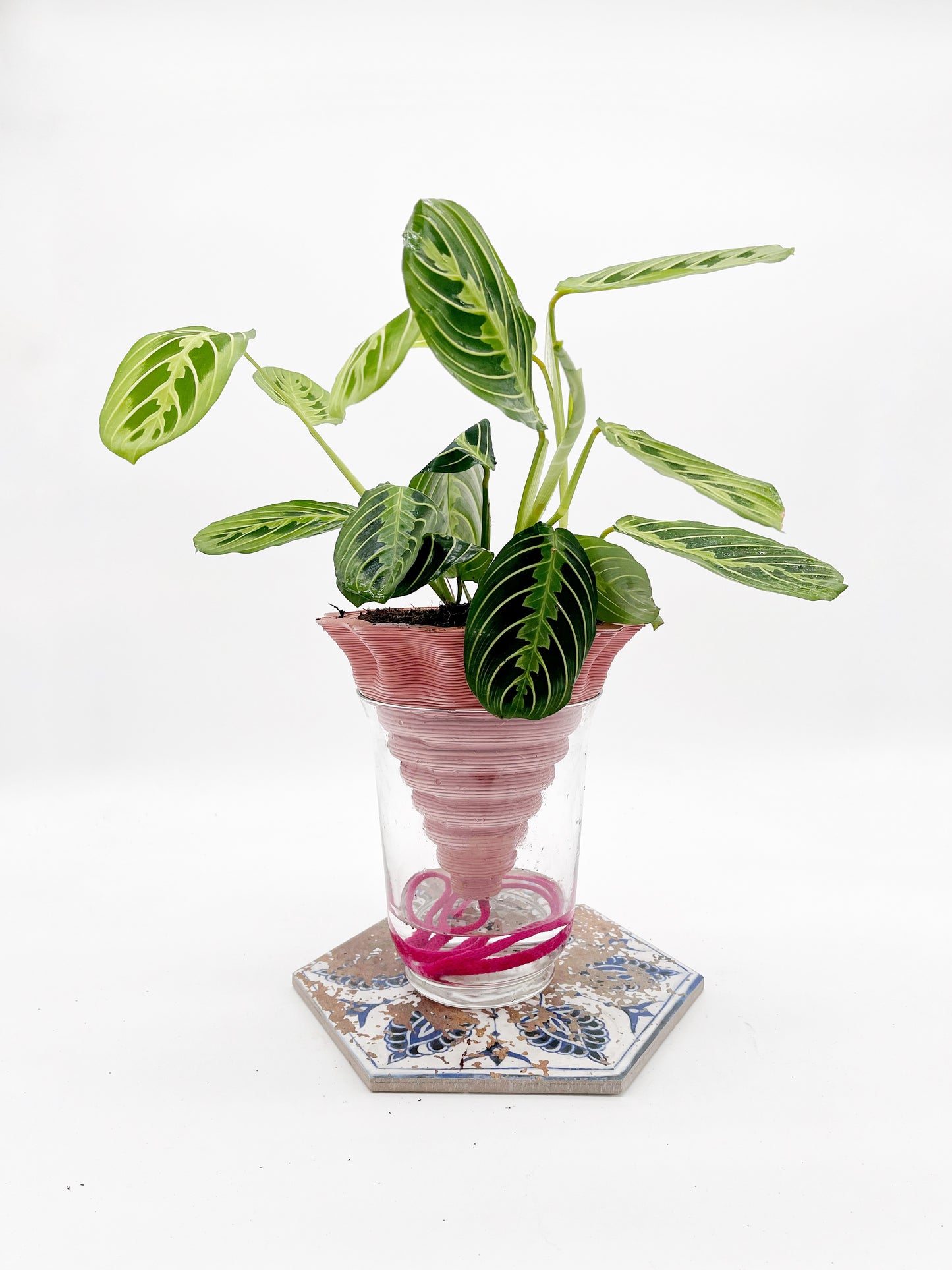 Nomade – the self-watering pot in COLORED STONEWARE
