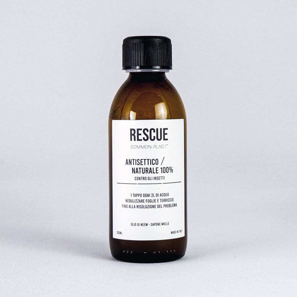 Rescue