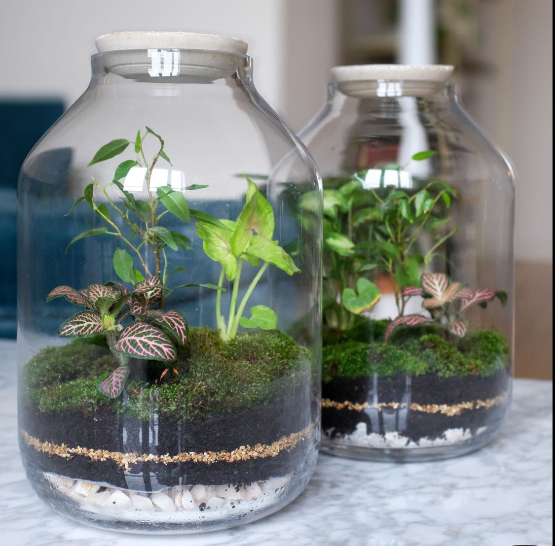 Workshop common place