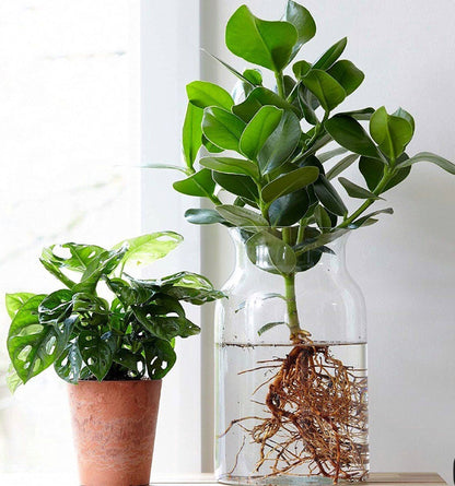 Workshop common place