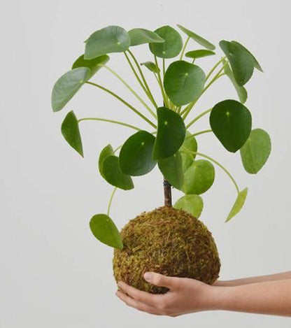 Workshop common place