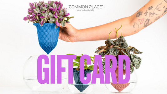 Gift card/ buono corsi