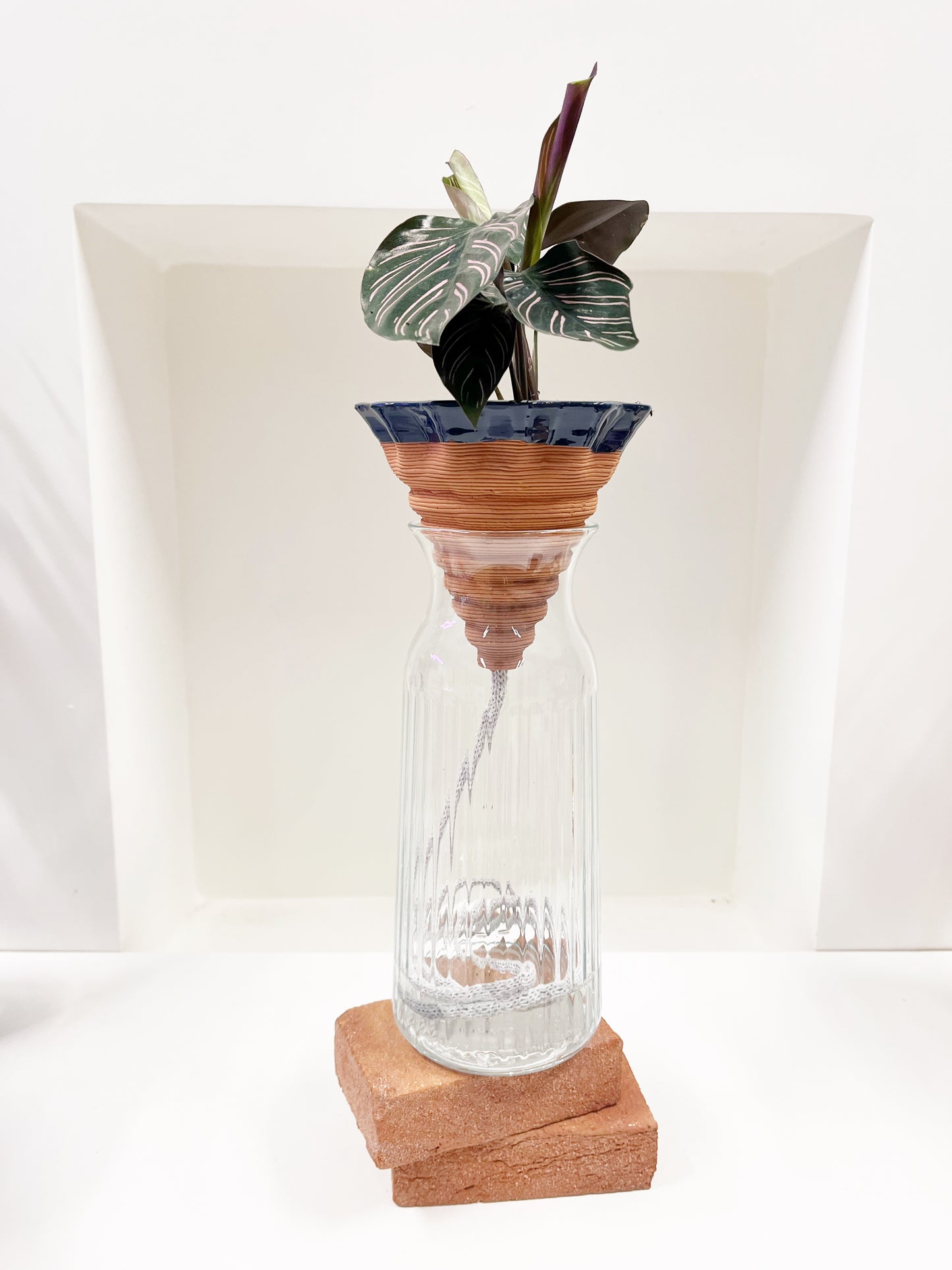 Nomade GLAZED – the self-watering TERRACOTTA pot