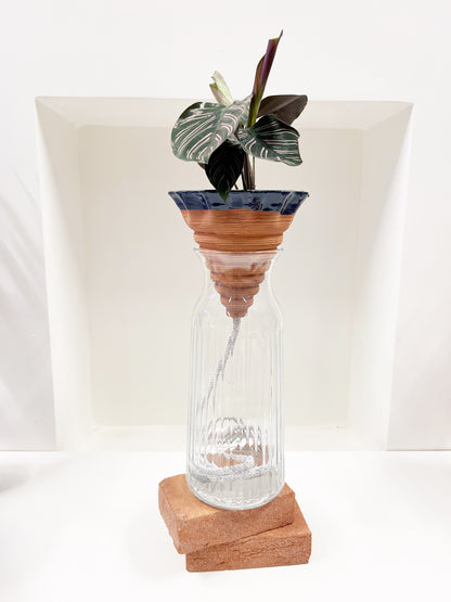 Nomade GLAZED – the self-watering TERRACOTTA pot