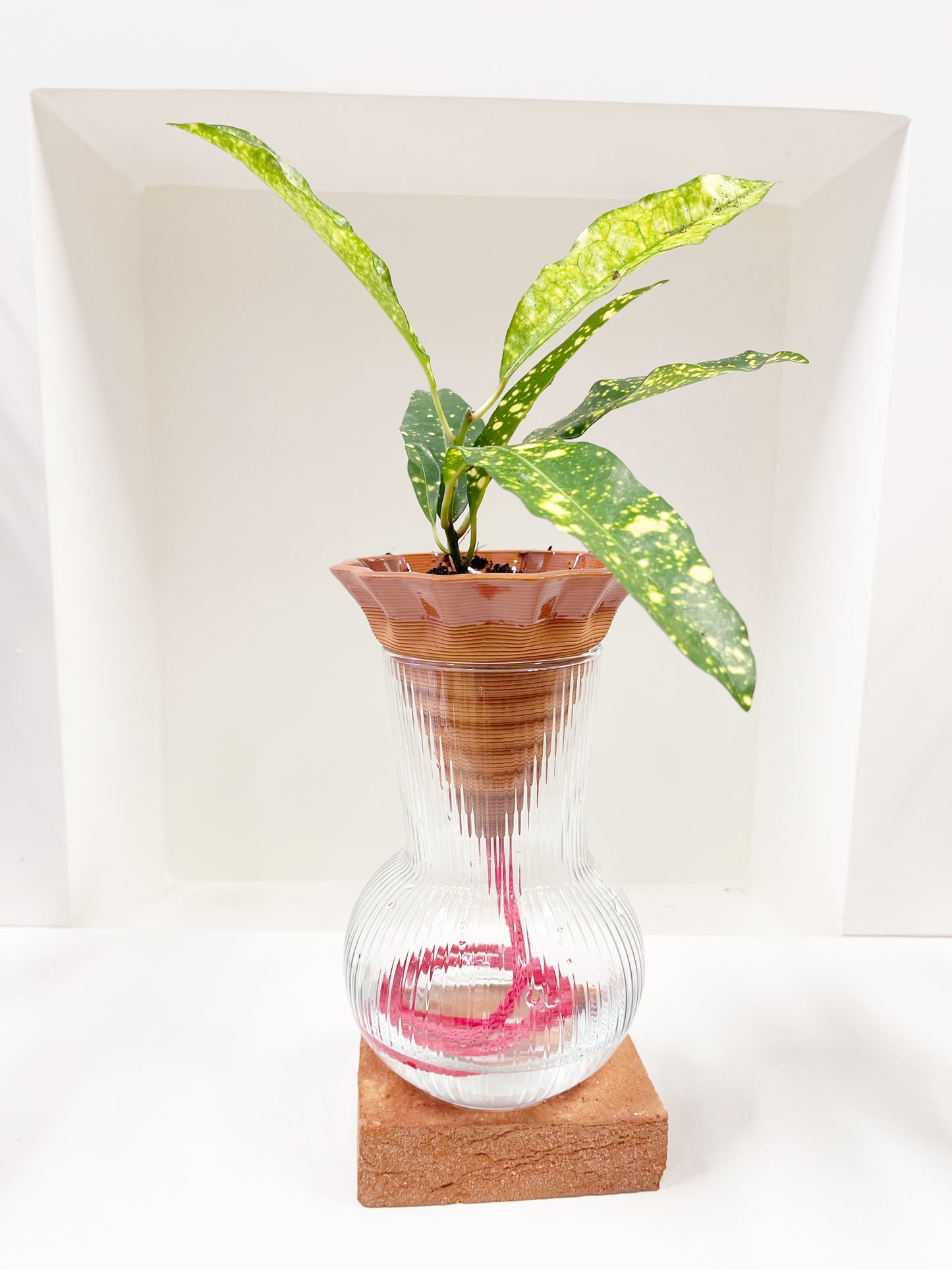 Nomade GLAZED – the self-watering TERRACOTTA pot