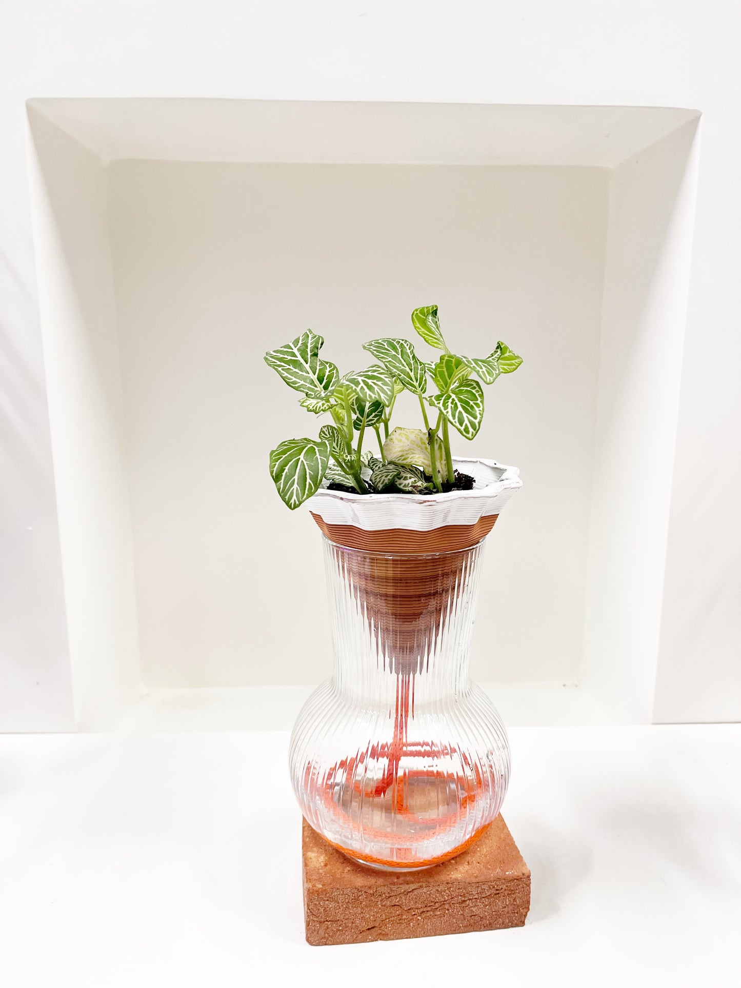 Nomade GLAZED – the self-watering TERRACOTTA pot
