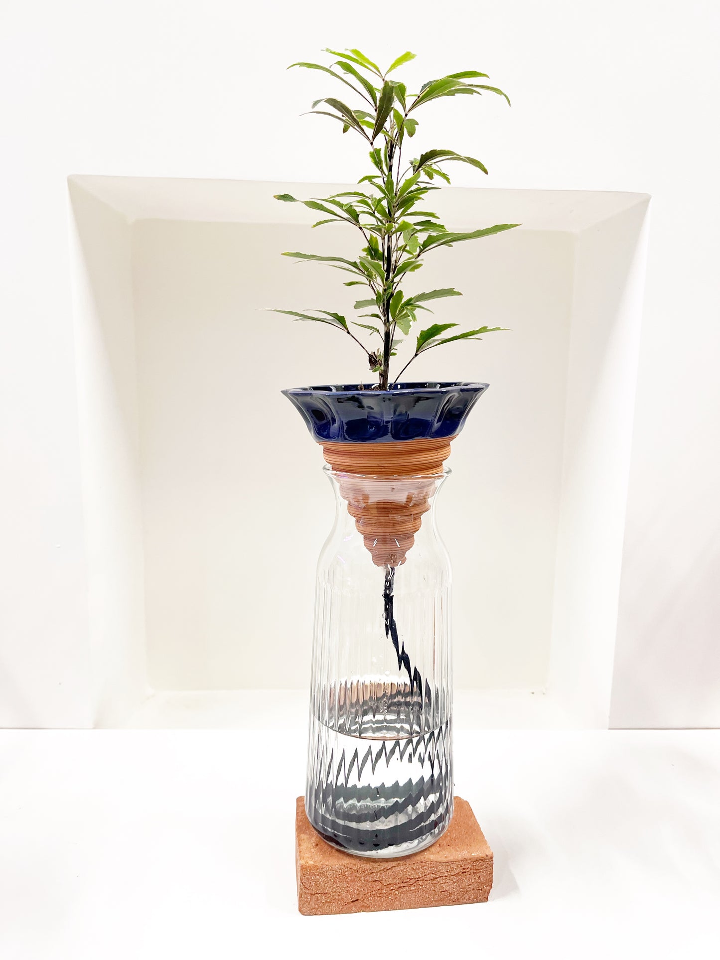 Nomade GLAZED – the self-watering TERRACOTTA pot