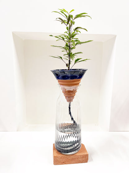 Nomade GLAZED – the self-watering TERRACOTTA pot