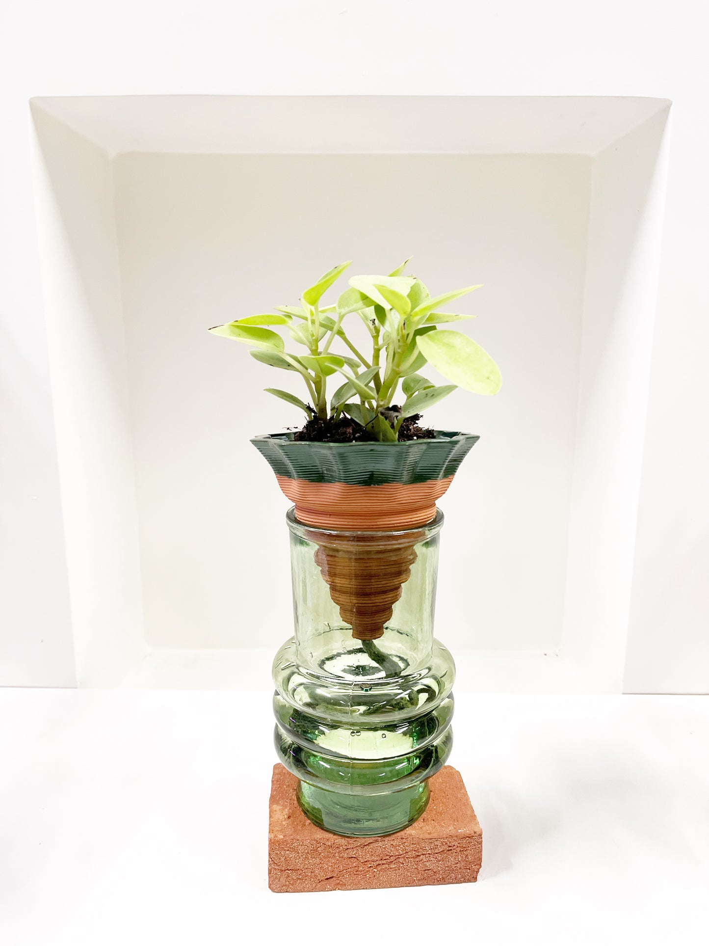 Nomade GLAZED – the self-watering TERRACOTTA pot