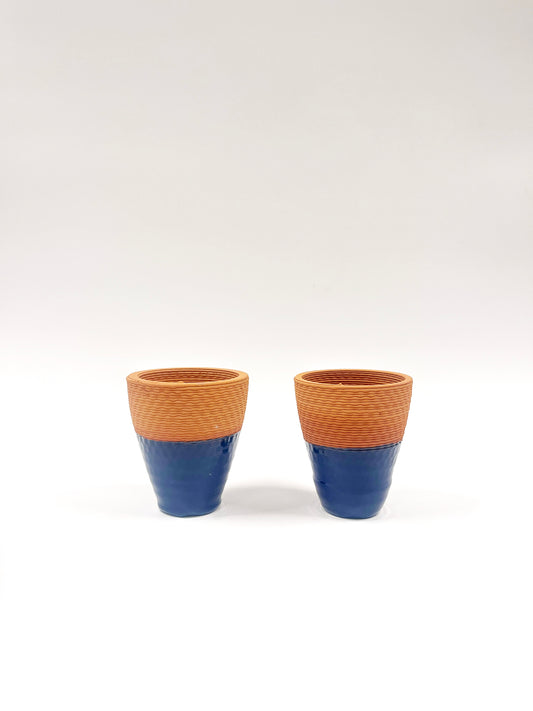 RAMTHA – The 3D Cup