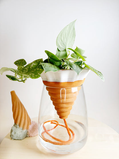 kit NOMADE - box e terra inclusi