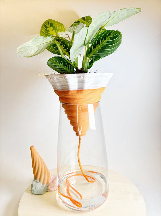 Nomade GLAZED – the self-watering TERRACOTTA pot