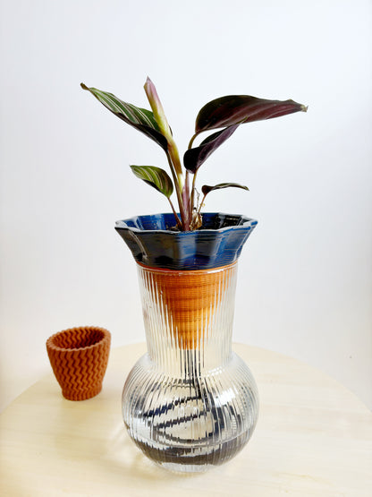 kit NOMADE - box e terra inclusi