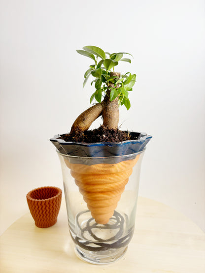 kit NOMADE - box e terra inclusi