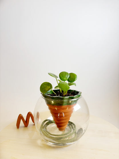 kit NOMADE - box e terra inclusi