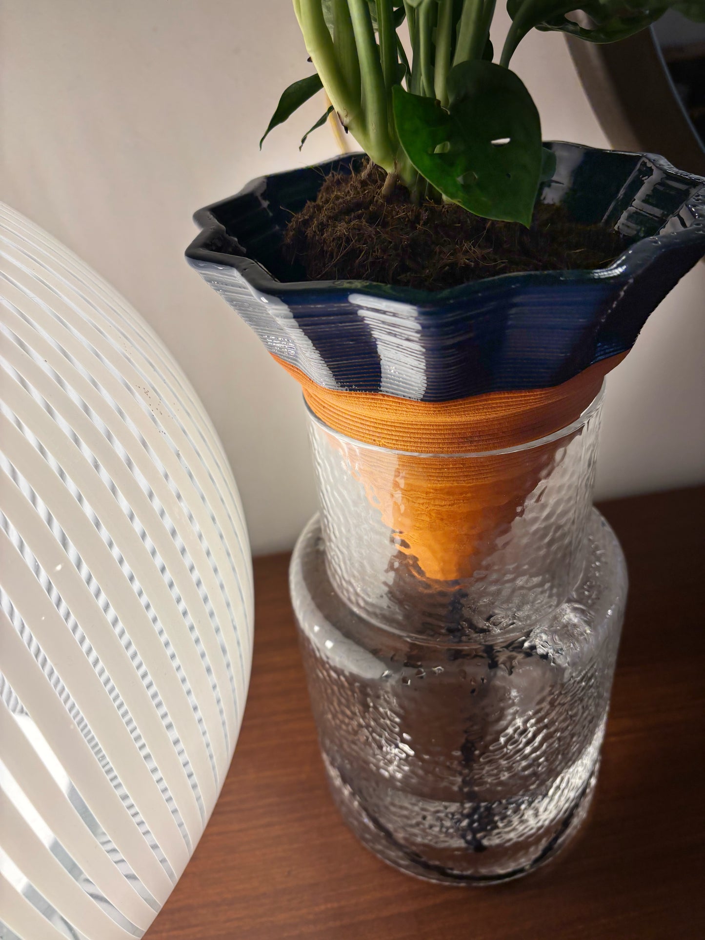 kit NOMADE - box e terra inclusi