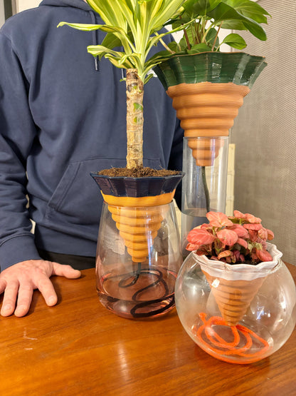 kit NOMADE - box e terra inclusi