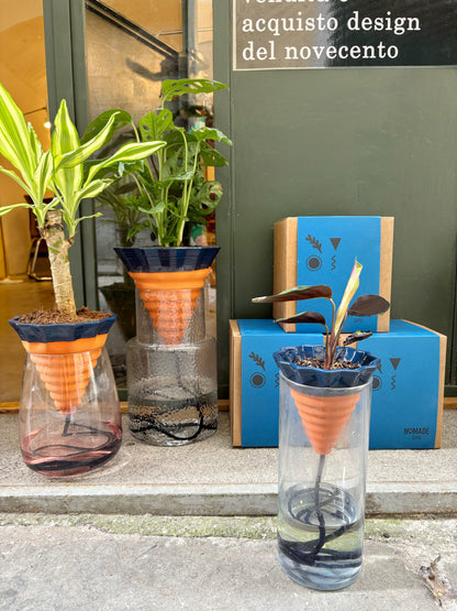 kit NOMADE - box e terra inclusi