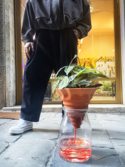 kit NOMADE - box e terra inclusi