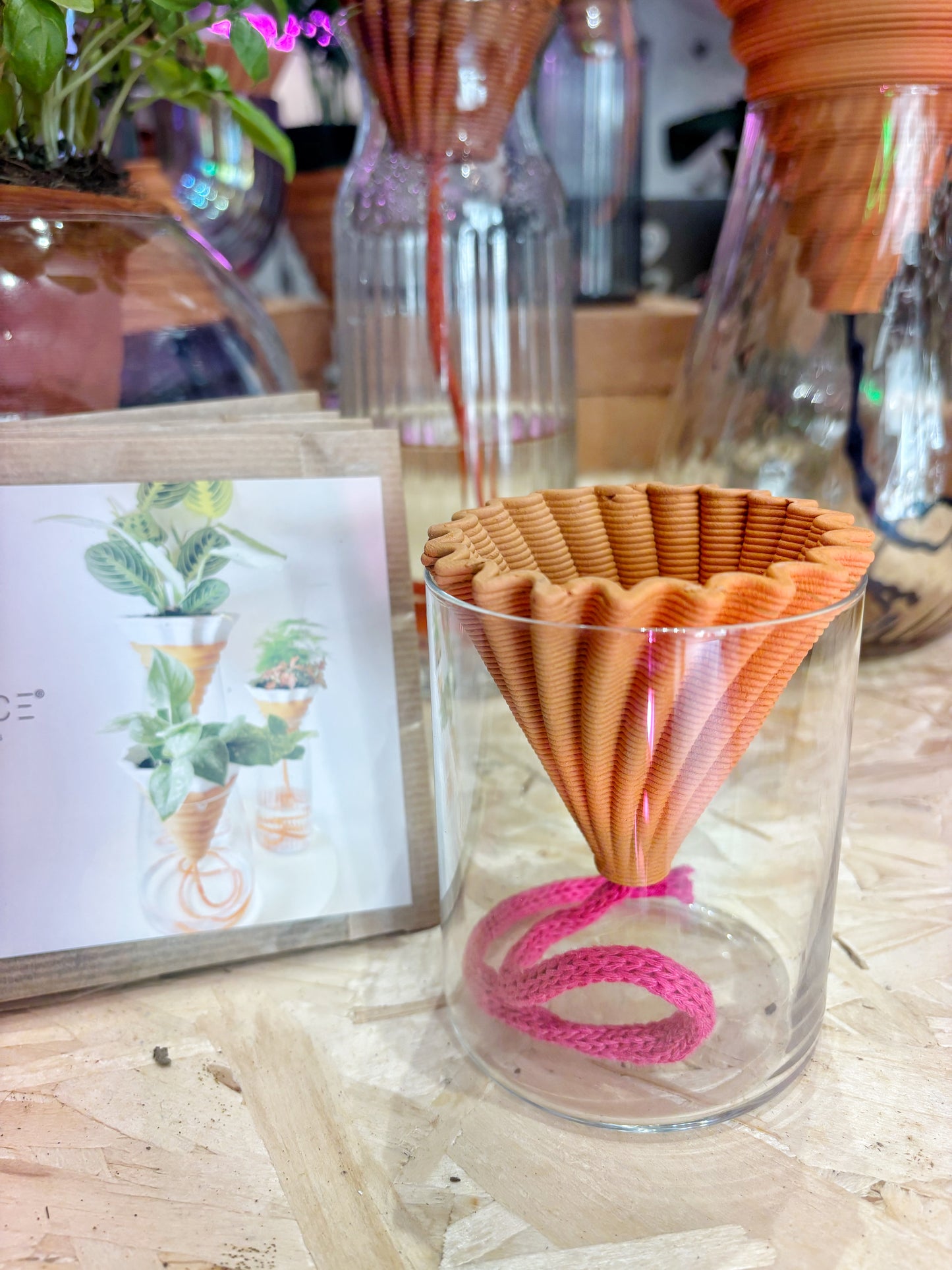 MINI NOMADE from italy with basil