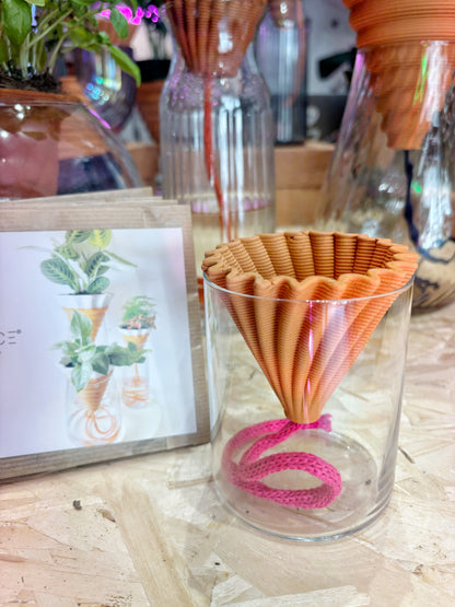 MINI NOMADE from italy with basil