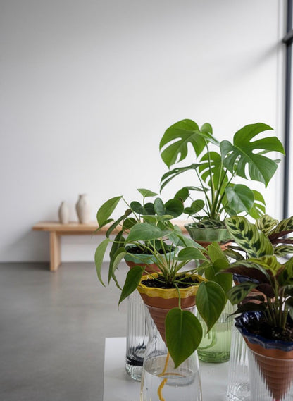 Nomade GLAZED – the self-watering TERRACOTTA pot