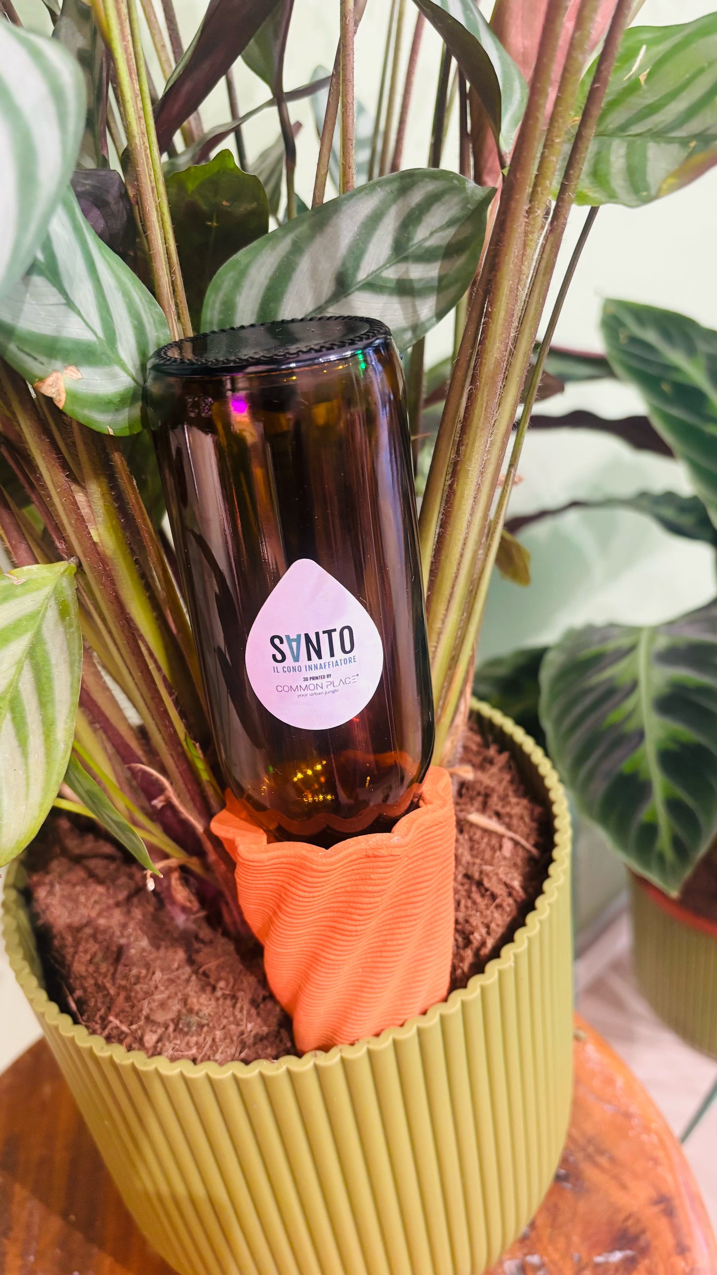 KIT SALVO prodotti per cura delle piante