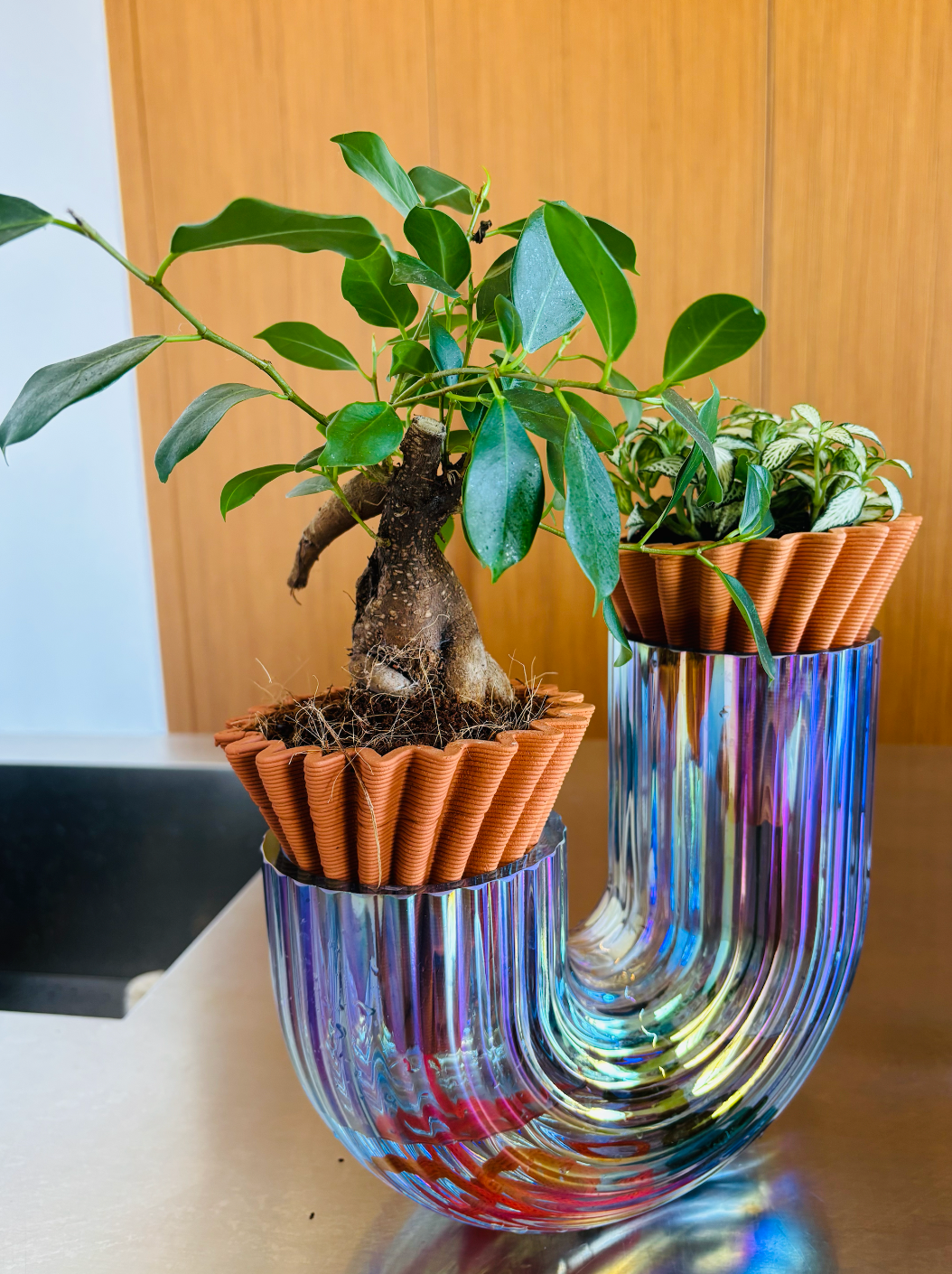 NOMADE terracotta raw + 4 colored cords
