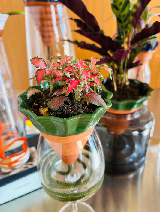 Nomade GLAZED – the self-watering TERRACOTTA pot
