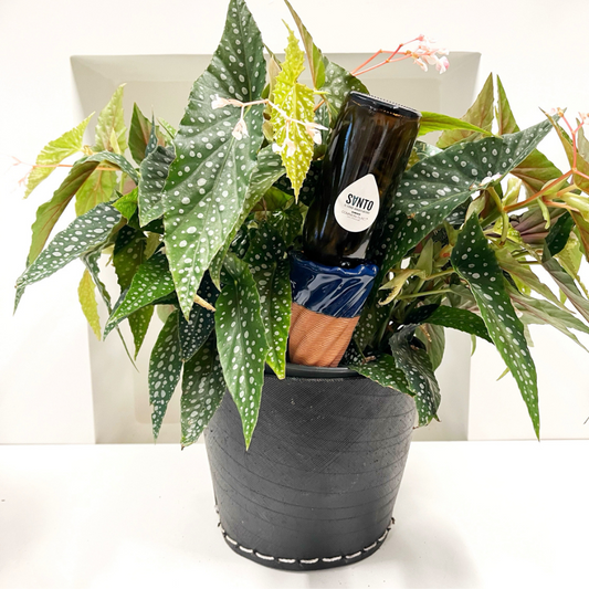 SANTO Watering cone