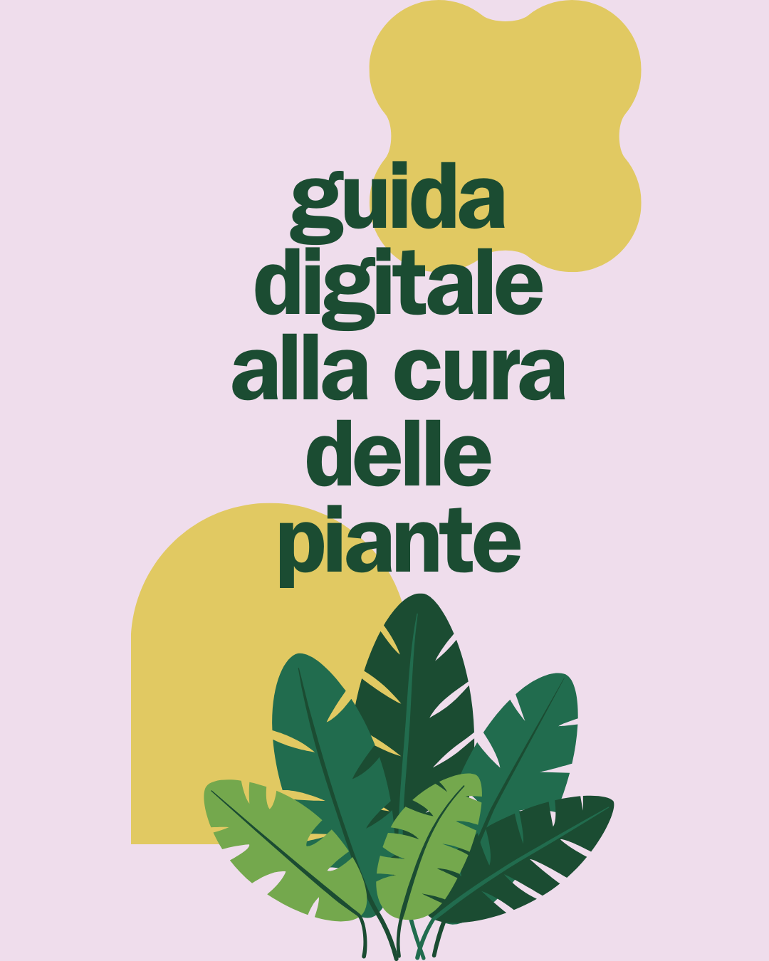 Guida digitale alla cura delle piante